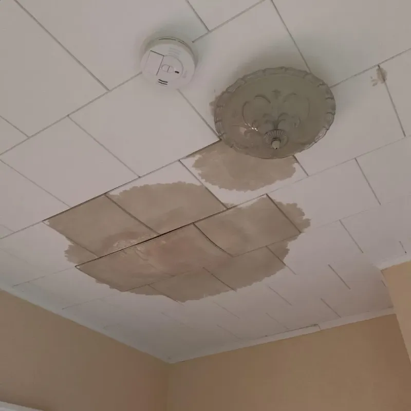 Ceiling Water Damage Repair in Albion, ME
